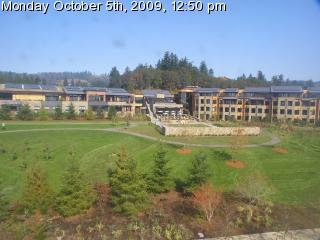 Live webcam view