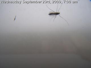 GFS Pottsville Webcam Preview Image
