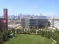 UCSF 19A
