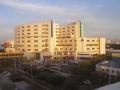 All Children's Hospital