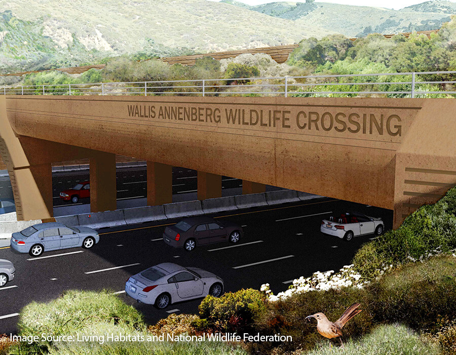 Wallis Annenberg Crossing - Challenge